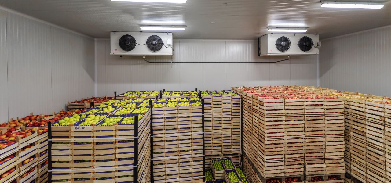 cold storage for rent